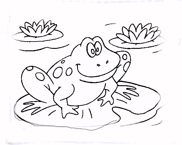 tree frog coloring page. frog coloring page frog