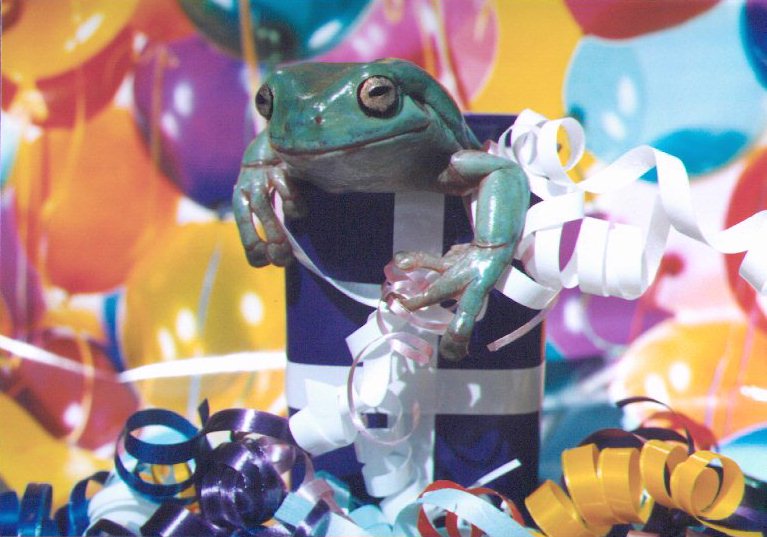 http://allaboutfrogs.org/gallery/expo/themes/birthday.jpg