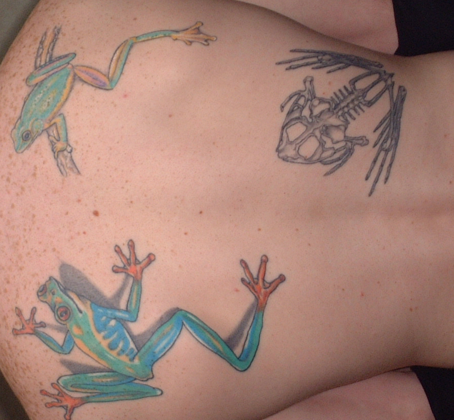 Toxic frogs might add some thing of an edge to those tattoos, 
