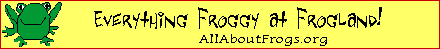 EverythingFroggy banner (frogland logo)