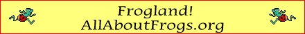 Frogland banner (running frogs)